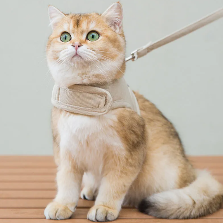 DURI Breathable Cat Harness with Leash 1.4m
