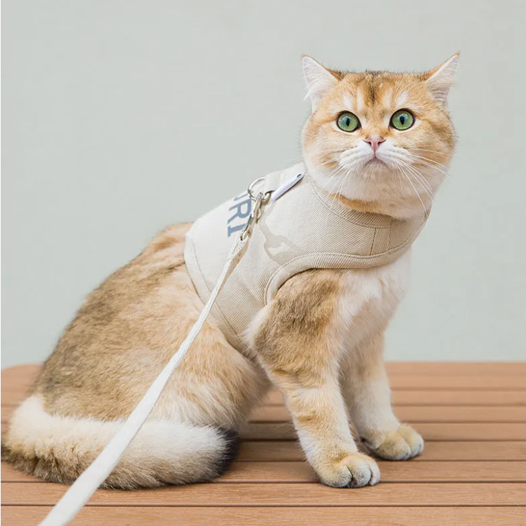 DURI Breathable Cat Harness with Leash 1.4m