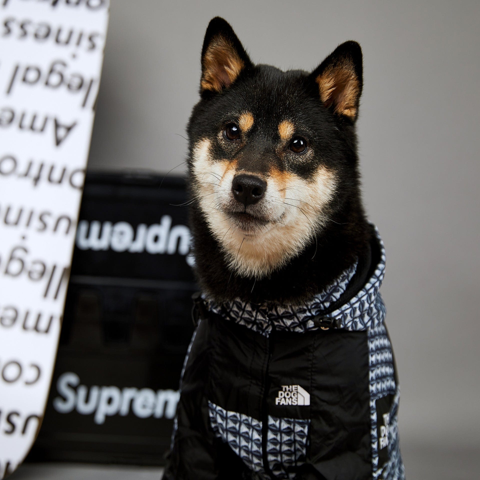 Hundejacke BASS MULTI Wind- und Regenfester Hundemantel