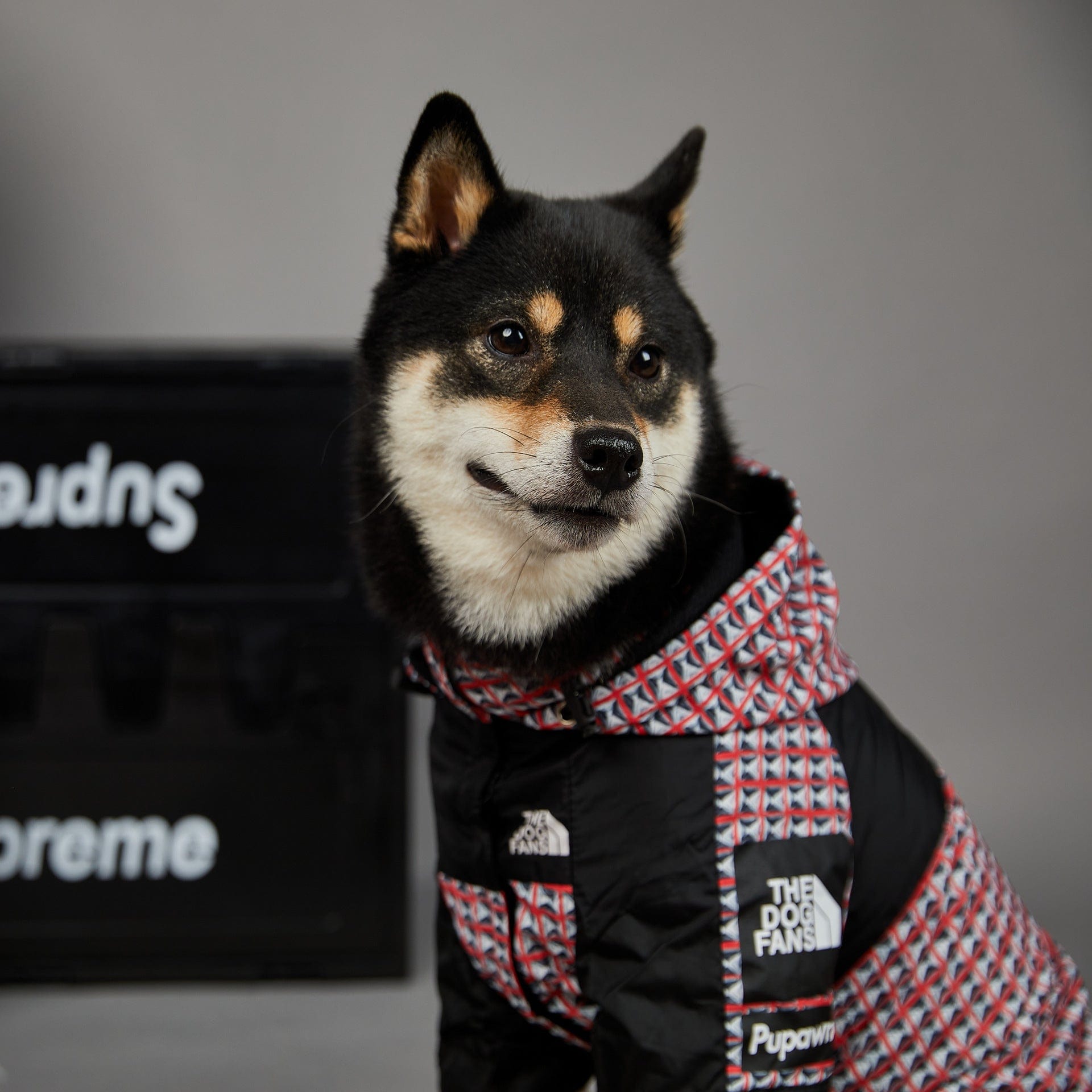 Hundejacke BASS MULTI Wind- und Regenfester Hundemantel