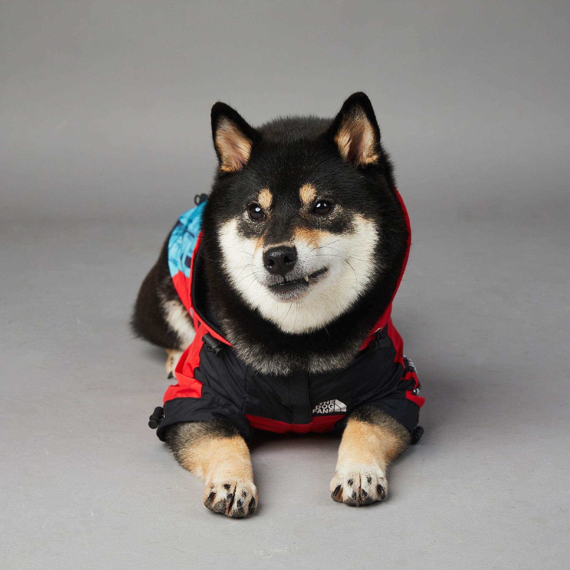 Hundejacke BASS NewYork Wind- und Regenfeste Hundejacke
