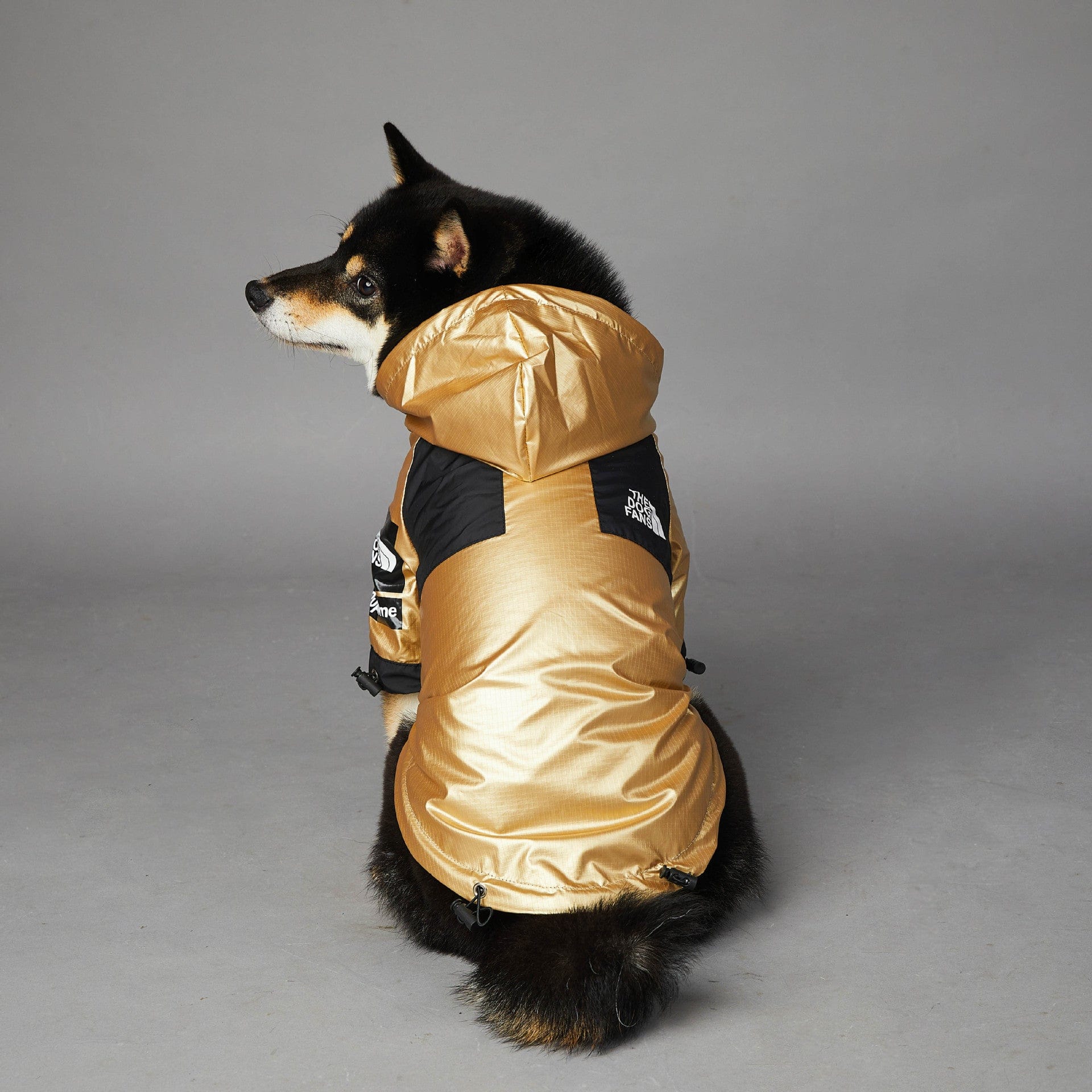 Hundejacke TOTO GOLD Wind- und regensichere Hundejacke