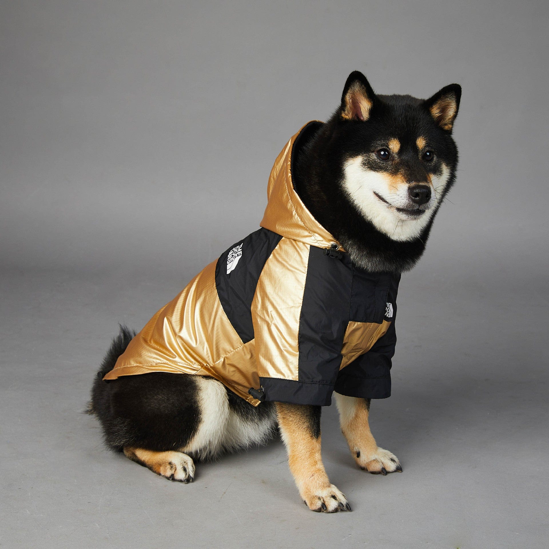 Hundejacke TOTO GOLD Wind- und regensichere Hundejacke