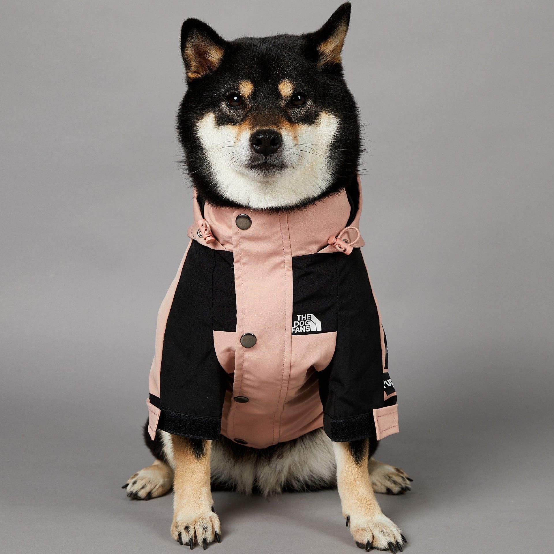 Hundejacke TOTO ROSA Wind- und regensichere Hundejacke