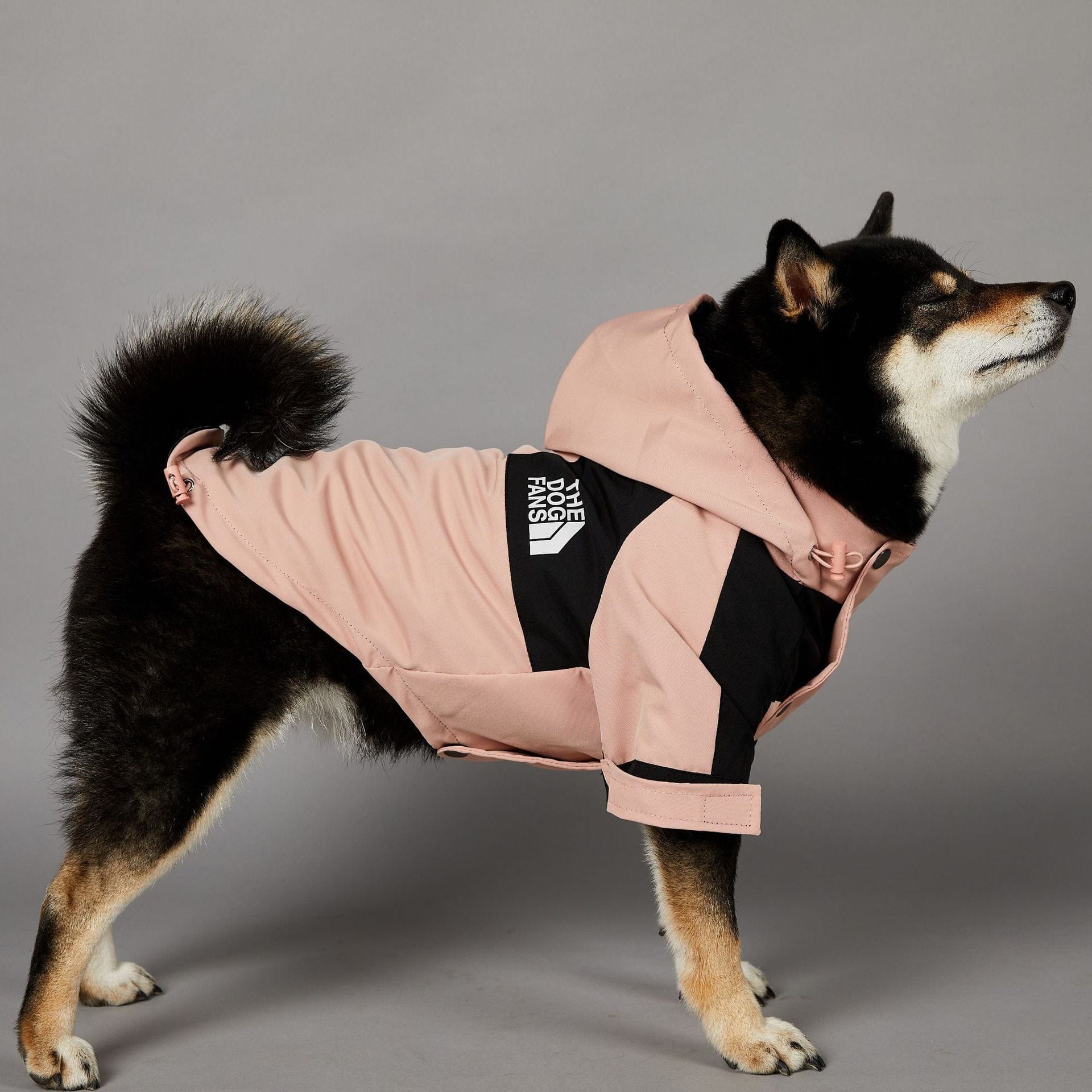 Hundejacke TOTO ROSA Wind- und regensichere Hundejacke