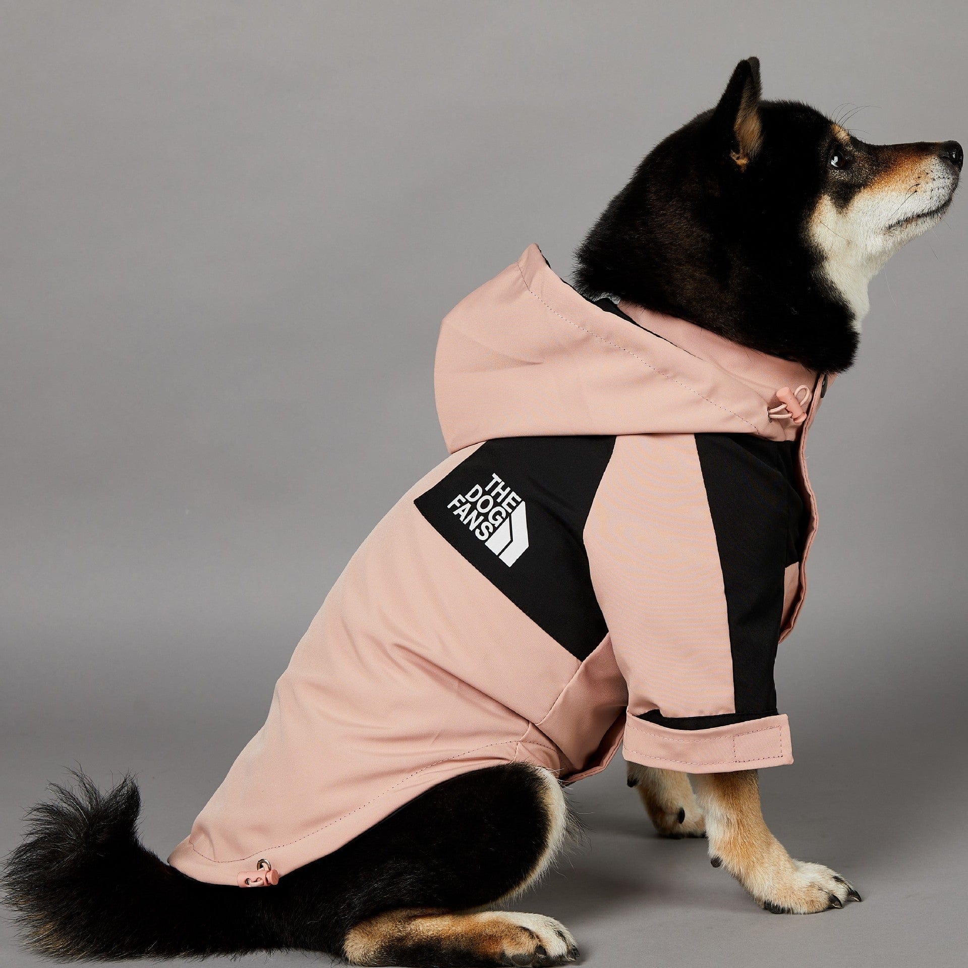 Hundejacke TOTO ROSA Wind- und regensichere Hundejacke