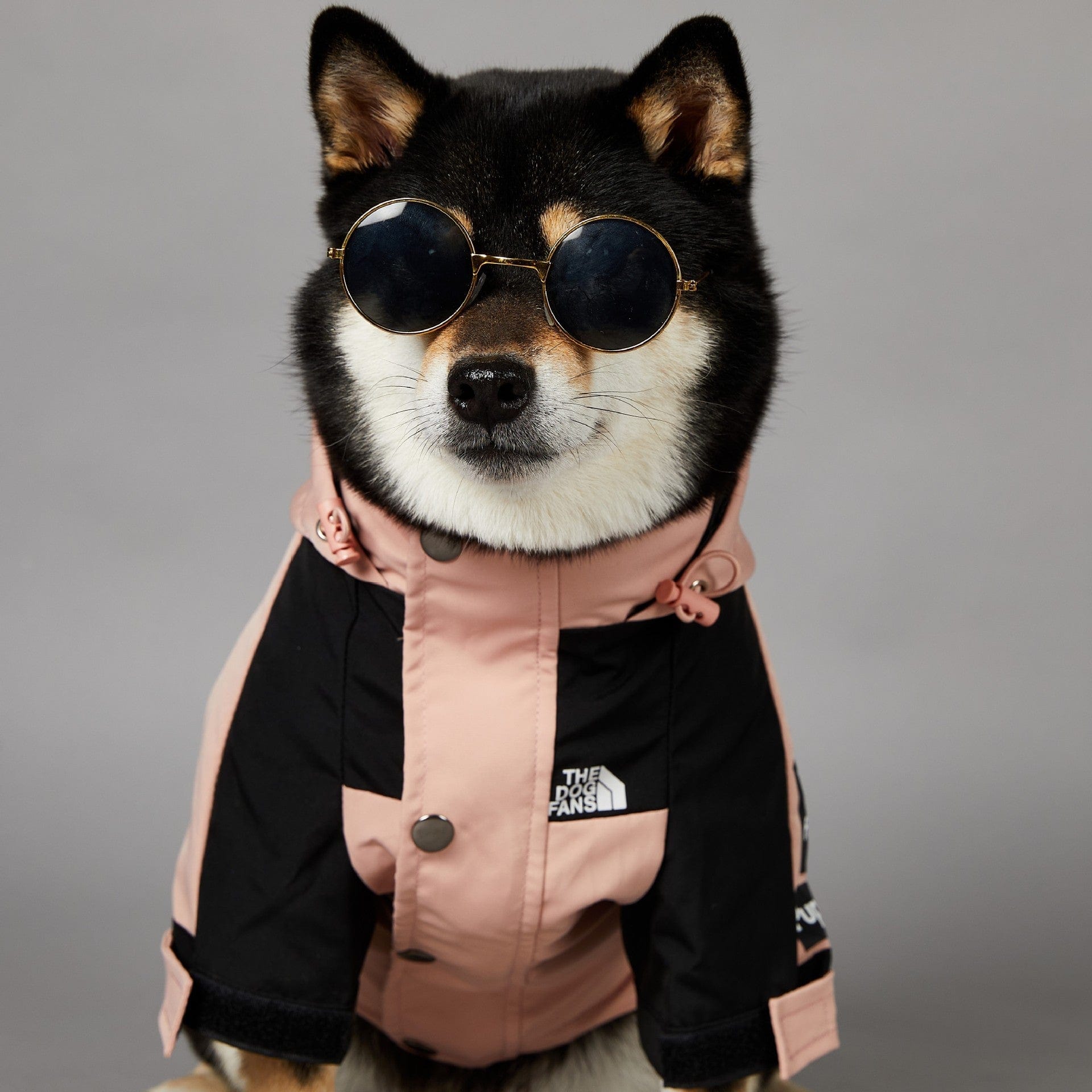 Hundejacke TOTO ROSA Wind- und regensichere Hundejacke