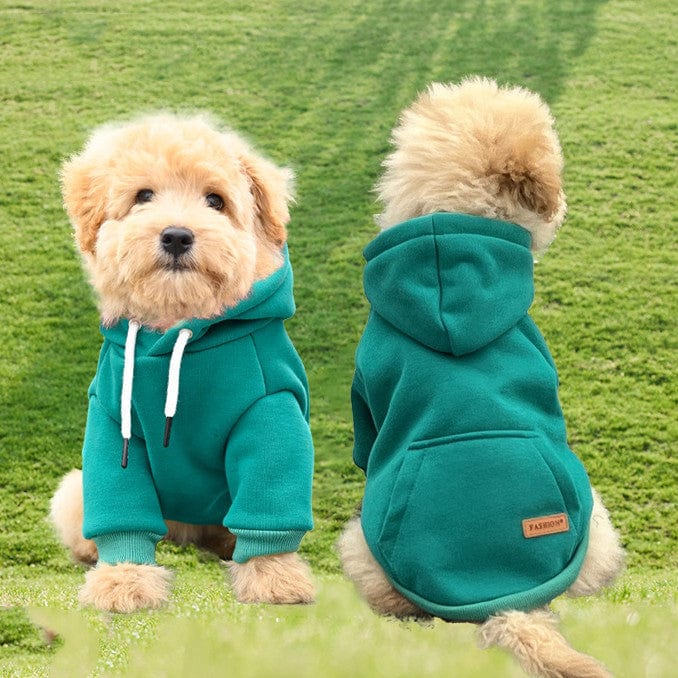 Hundepullover AMIGO Kuscheliger & Stylischer Hoodie für Haustiere