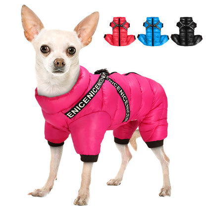 SNOWY Winterjacke für Hunde – Wasserdichte, Bequeme Jacke mit Reißverschluss &amp; D-Ringen
