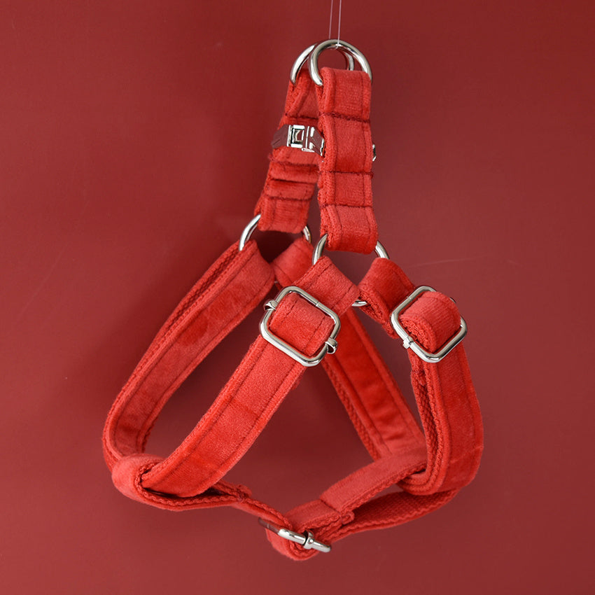 CLEO RED Premium Velvet Hundegeschirre + Hundeleine
