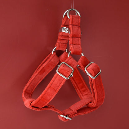 CLEO RED Premium Velvet Hundegeschirre + Hundeleine