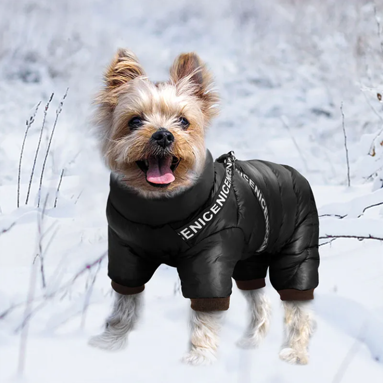 SNOWY Winterjacke für Hunde – Wasserdichte, Bequeme Jacke mit Reißverschluss &amp; D-Ringen