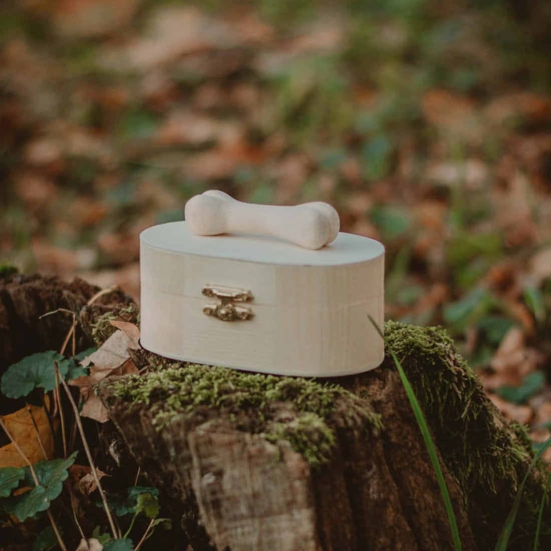 Accessories PETMEWOOD Personalisierte Holz Memory Box – Handgemacht &amp; Einzigartig