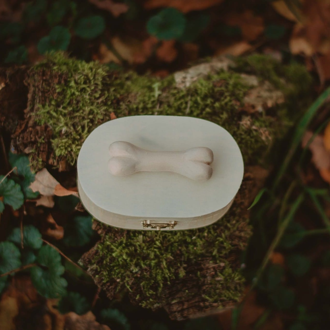Accessories PETMEWOOD Personalisierte Holz Memory Box – Handgemacht &amp; Einzigartig