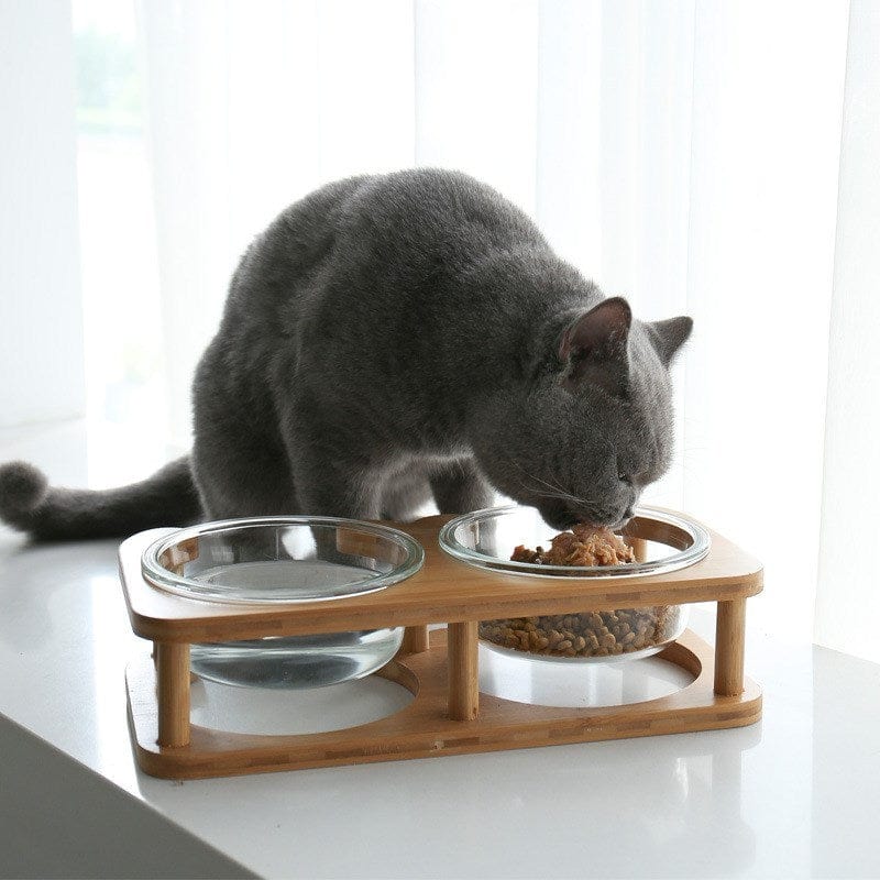 Futternapf MIRRO Glas-Katzenschüssel mit Holzrahmen für Katzen &amp; Kleine Hunde