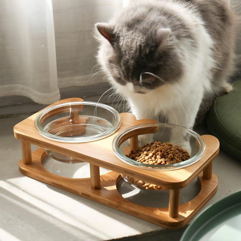 Futternapf MIRRO Glas-Katzenschüssel mit Holzrahmen für Katzen &amp; Kleine Hunde