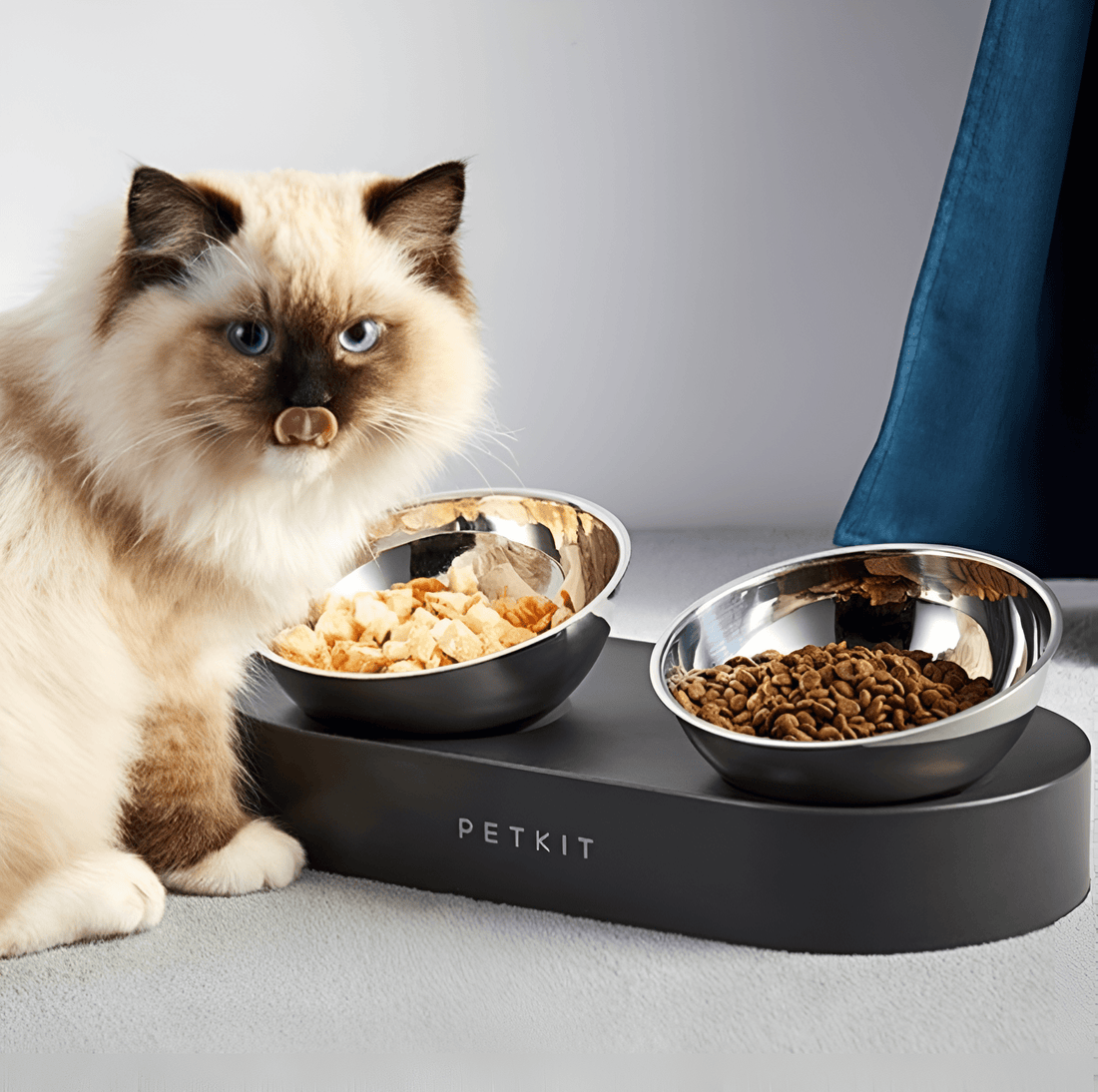 Futternapf ROUNDY Doppel-Futternapf für Katzen &amp; Hunde