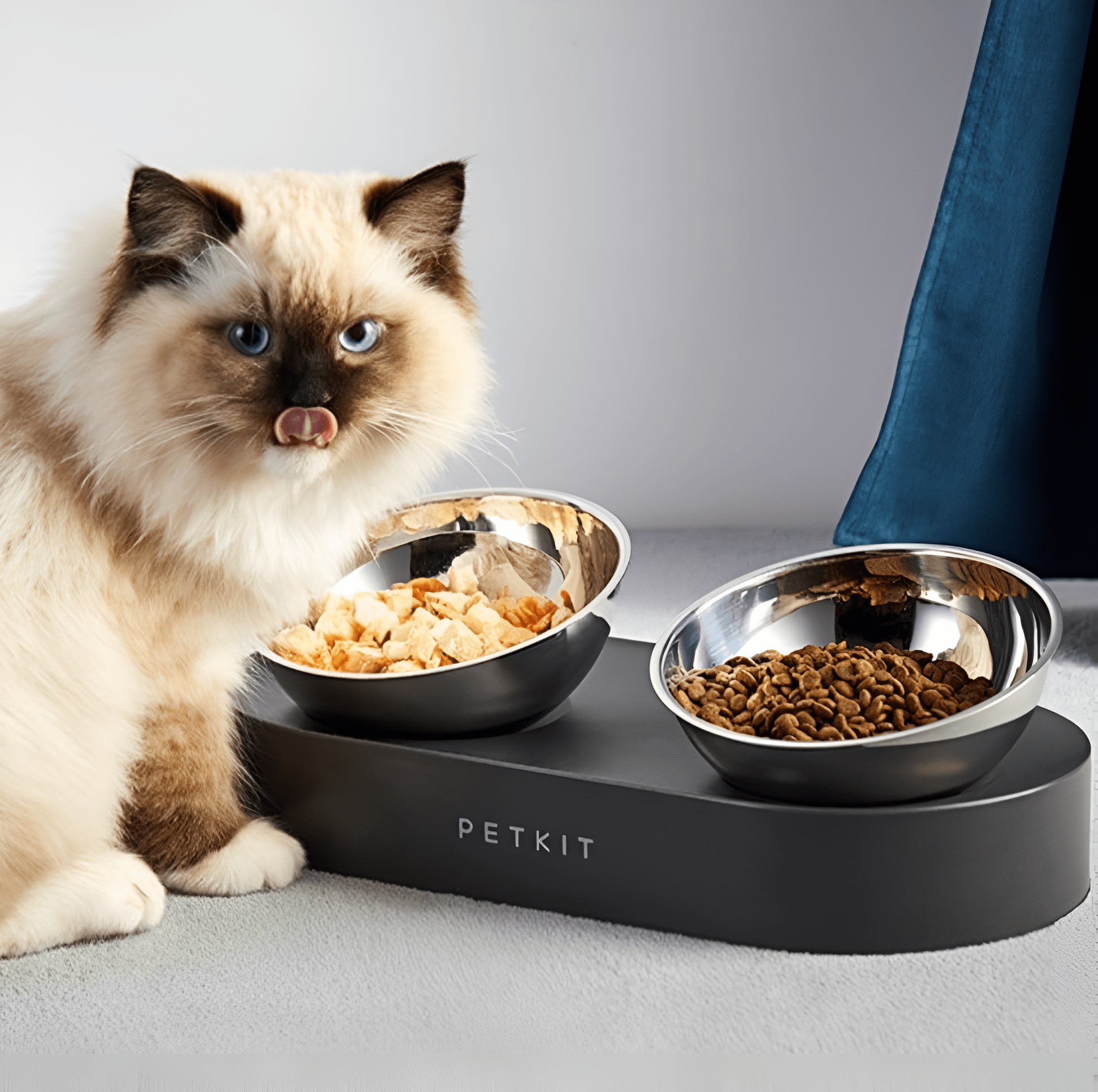 Futternapf ROUNDY Doppel-Futternapf für Katzen &amp; Hunde