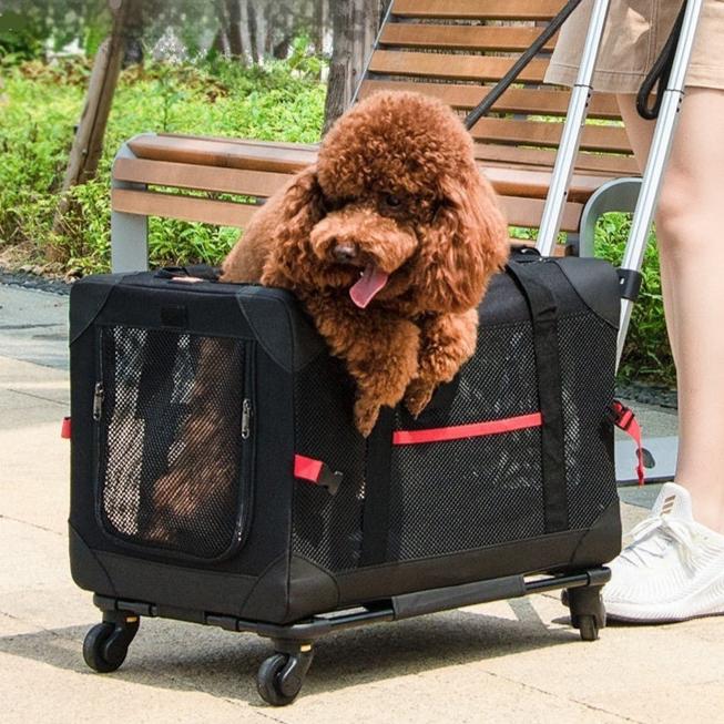 Haustier Transporttasche DOLLY Atmungsaktive Trolley-Tragetasche für Haustiere