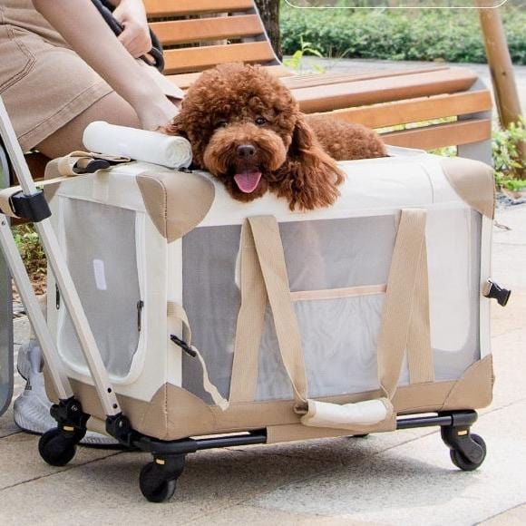 Haustier Transporttasche DOLLY Atmungsaktive Trolley-Tragetasche für Haustiere