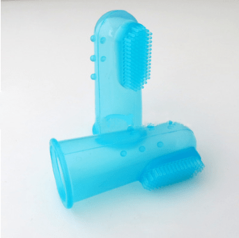 Haustier Zahnbürste SHARK Fingerzahnbürste für Haustiere Clear Blue