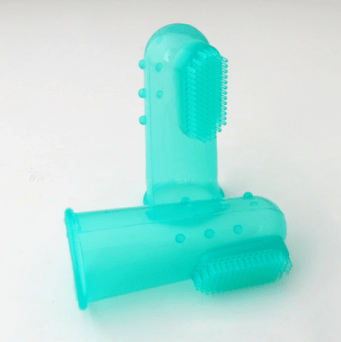 Haustier Zahnbürste SHARK Fingerzahnbürste für Haustiere Clear Green