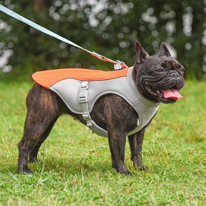 Hundegeschirr BAILEY Sommer Kühlweste für Hunde