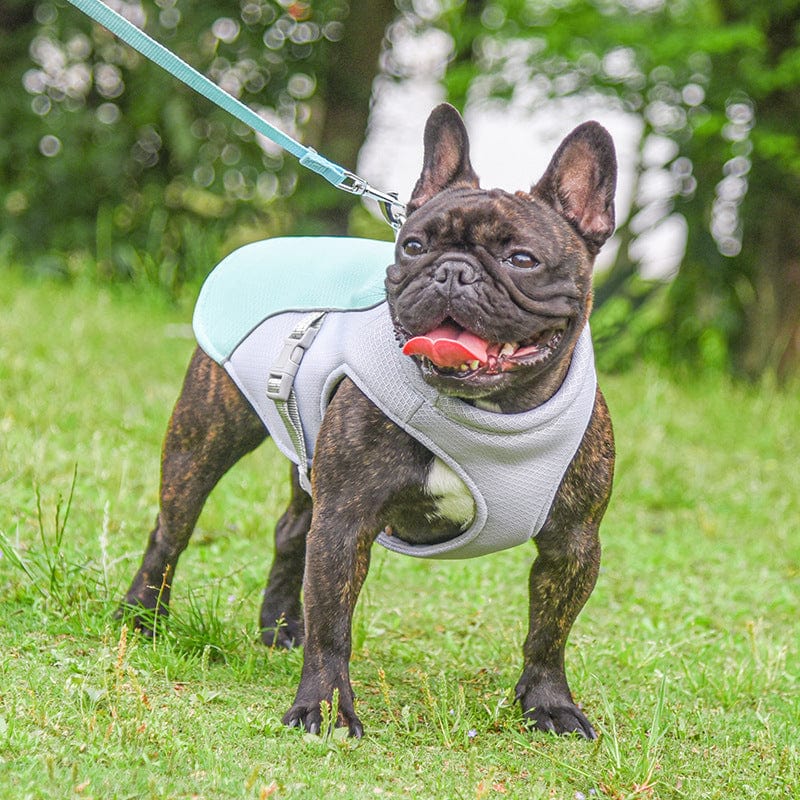 Hundegeschirr BAILEY Sommer Kühlweste für Hunde