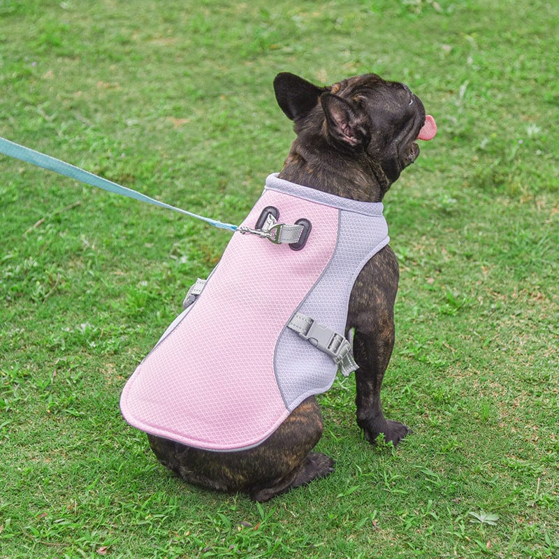 Hundegeschirr BAILEY Sommer Kühlweste für Hunde