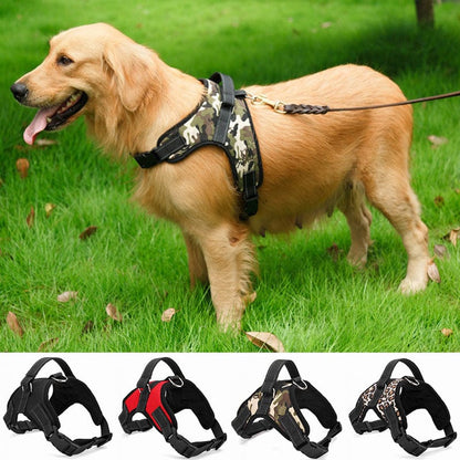 Hundegeschirr COOPER Verstellbares Hundegeschirr