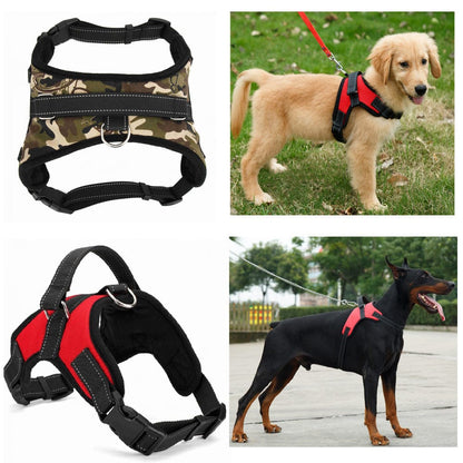 Hundegeschirr COOPER Verstellbares Hundegeschirr