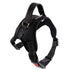 Hundegeschirr COOPER Verstellbares Hundegeschirr Black / S