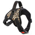 Hundegeschirr COOPER Verstellbares Hundegeschirr Leopard / S