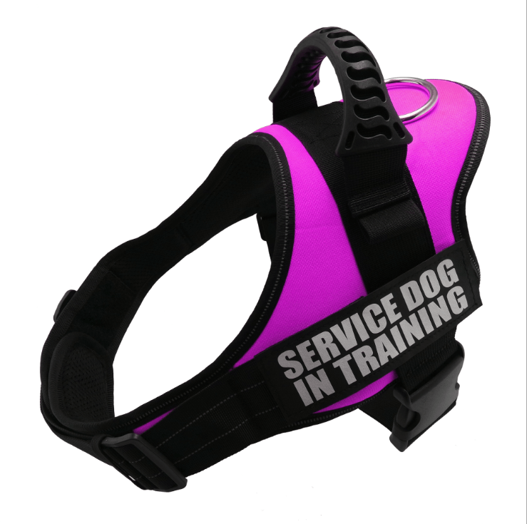 Hundegeschirr ROCKY Reflektierendes Geschirr für Hunde Pink / XS