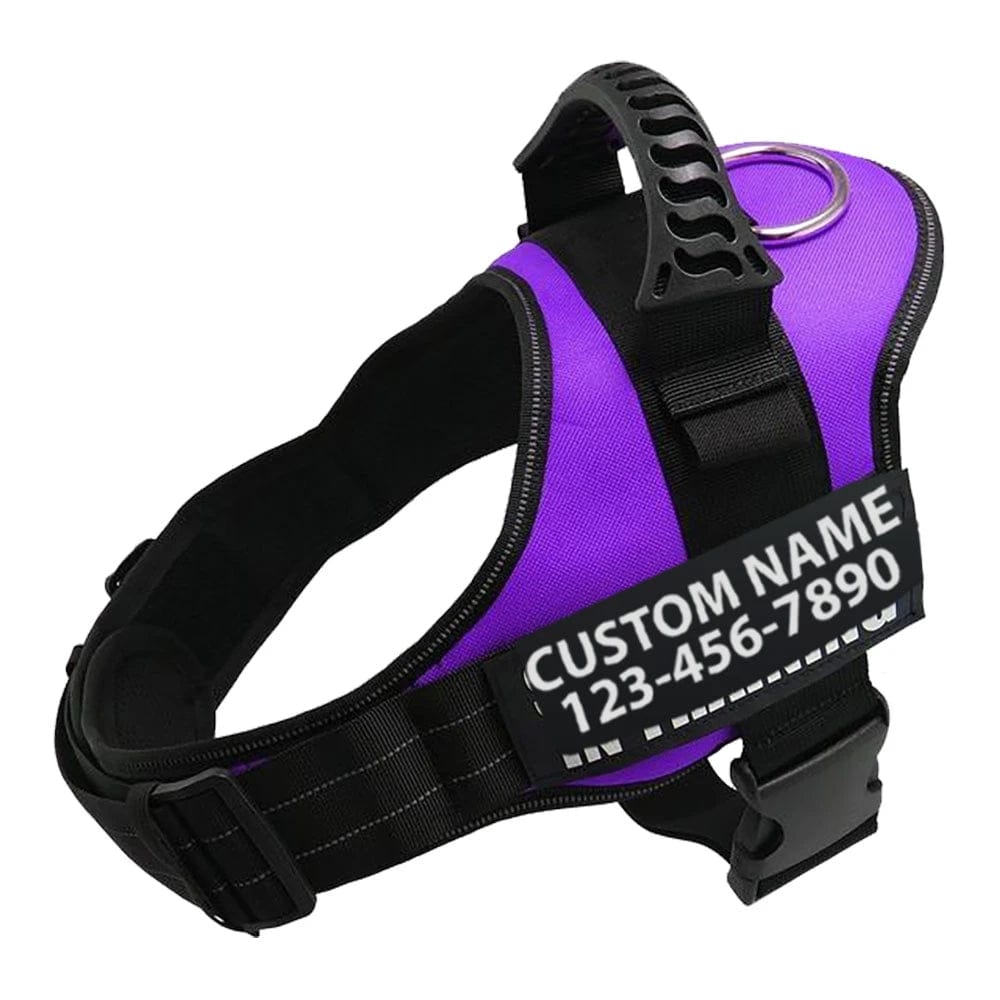 Hundegeschirr ROCKY Reflektierendes Geschirr für Hunde Purple / XS