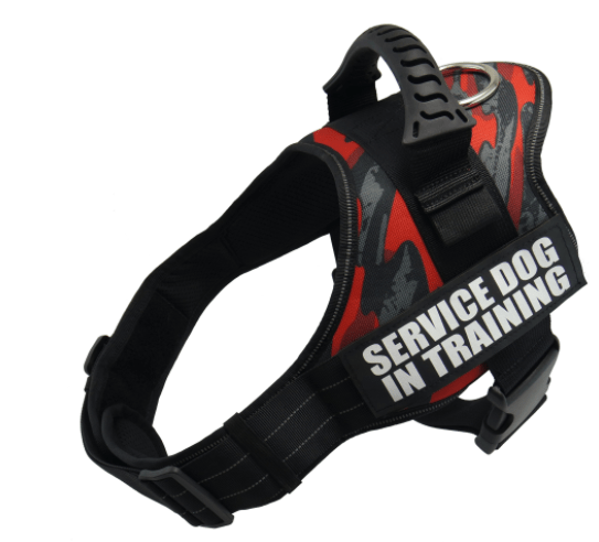 Hundegeschirr ROCKY Reflektierendes Geschirr für Hunde Redblack / XS