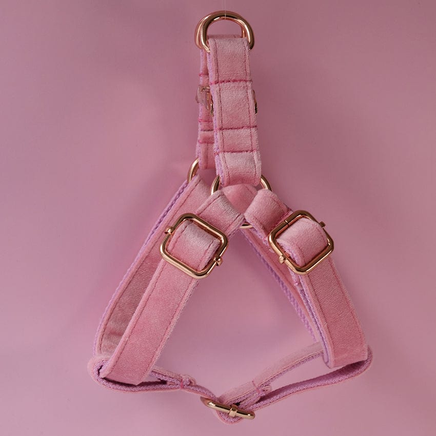Hundegeschirre CLEO PINK Premium Velver Hundegeschirre + Hundeleine