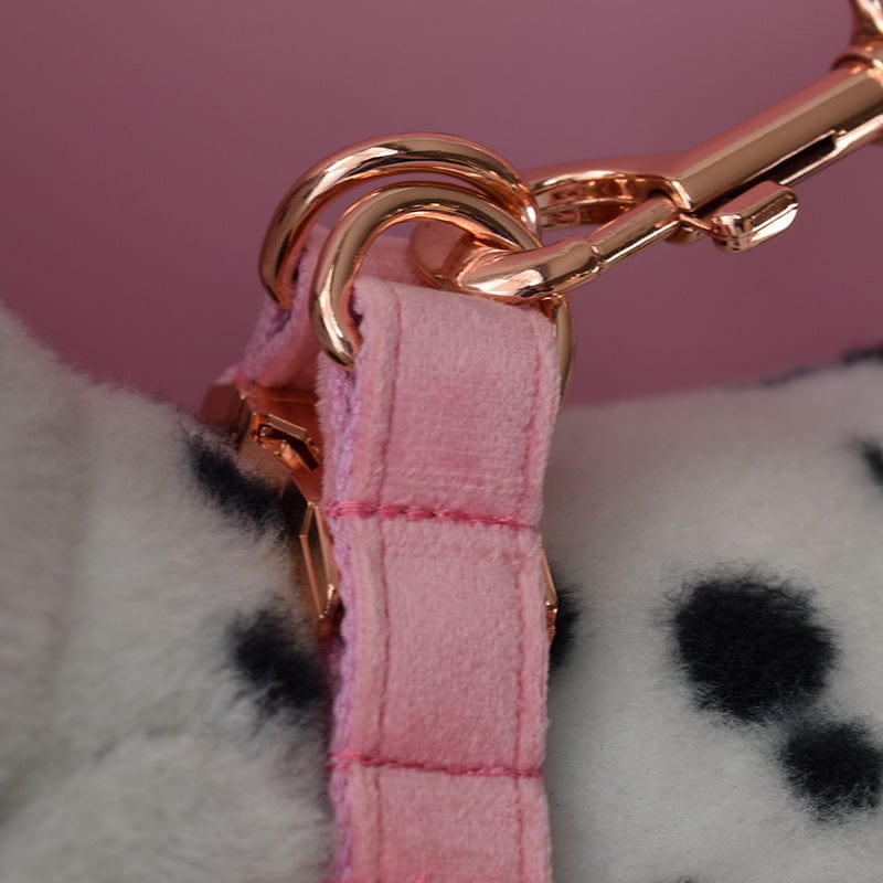Hundegeschirre CLEO PINK Premium Velver Hundegeschirre + Hundeleine
