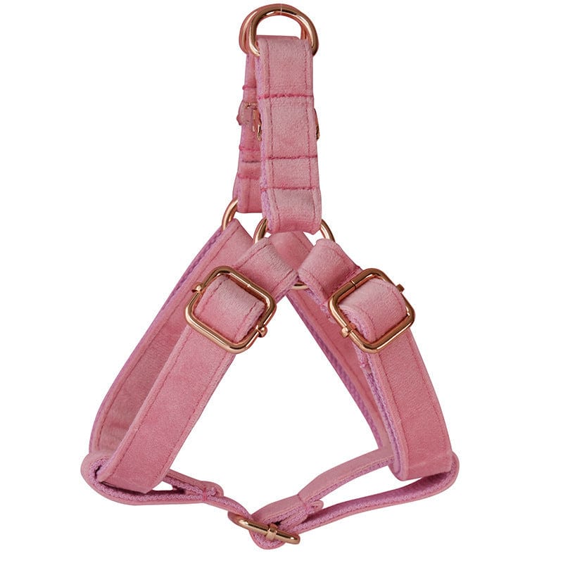 Hundegeschirre CLEO PINK Premium Velver Hundegeschirre + Hundeleine Geshirre / S