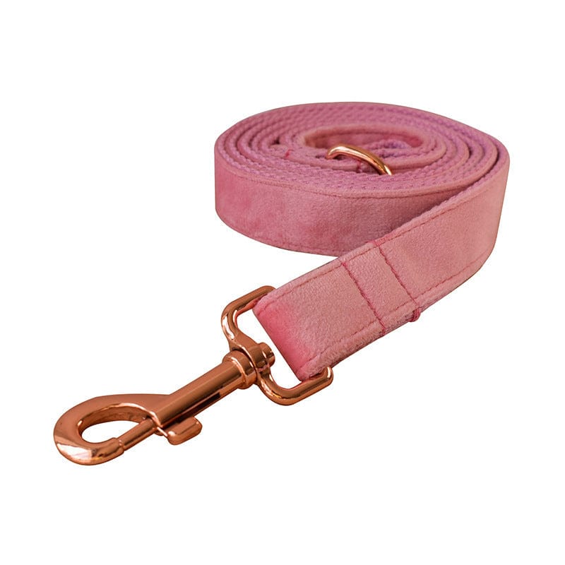 Hundegeschirre CLEO PINK Premium Velver Hundegeschirre + Hundeleine Leine / S