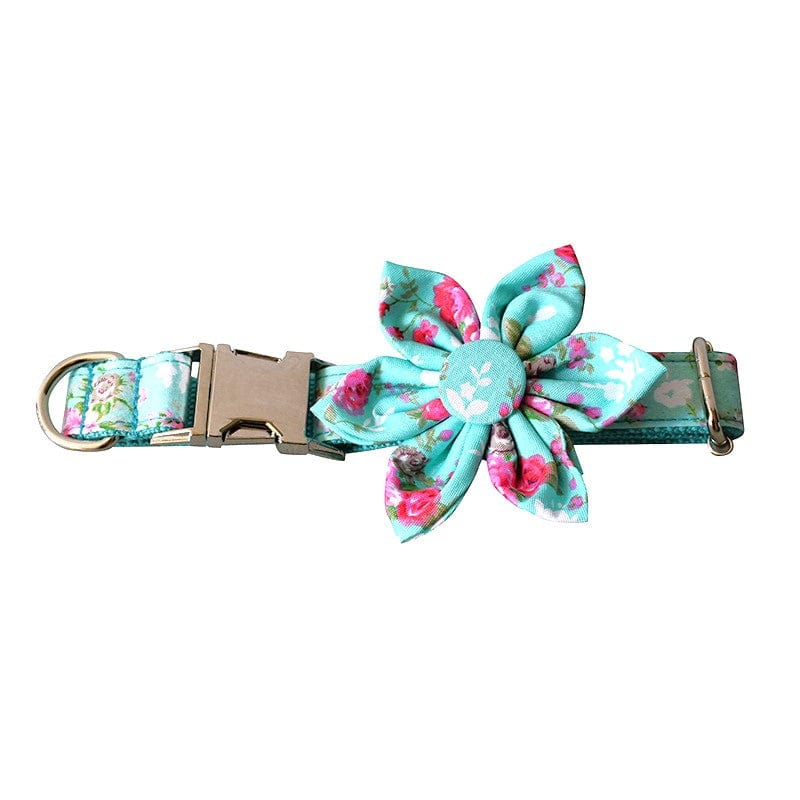 Hundehalsband BLOOM Hundehalsband und Leine SET