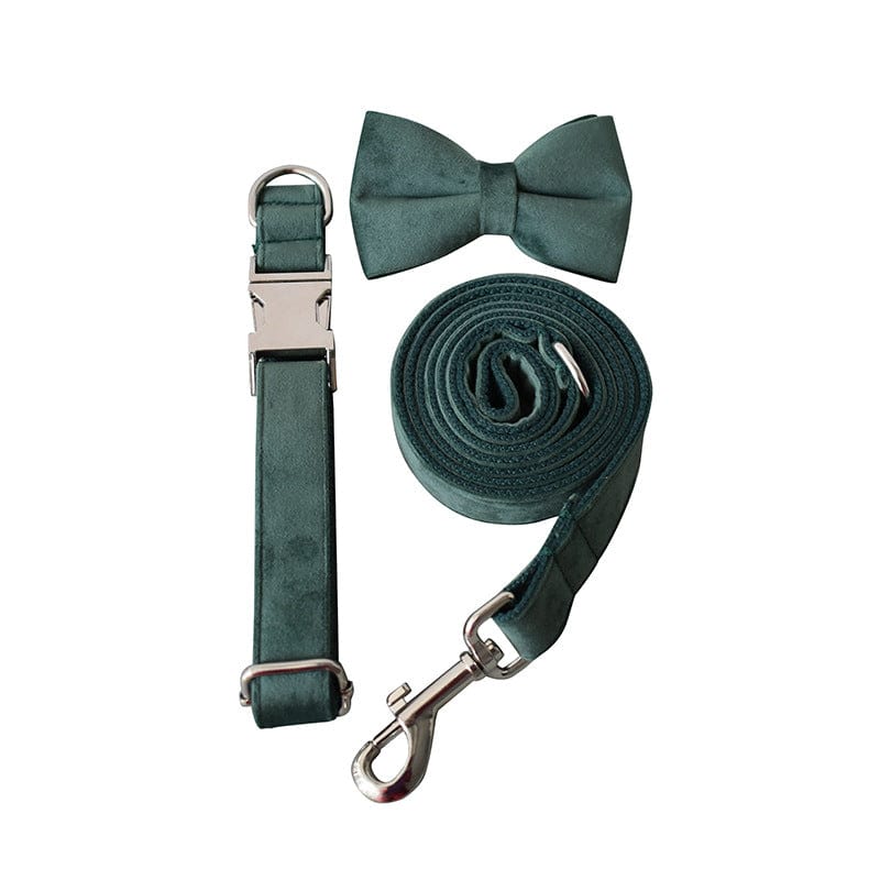 Hundehalsband CLEO GREEN Premium Velvet Hundeleine + Halsband