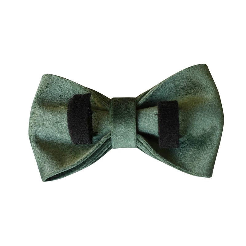Hundehalsband CLEO GREEN Premium Velvet Hundeleine + Halsband