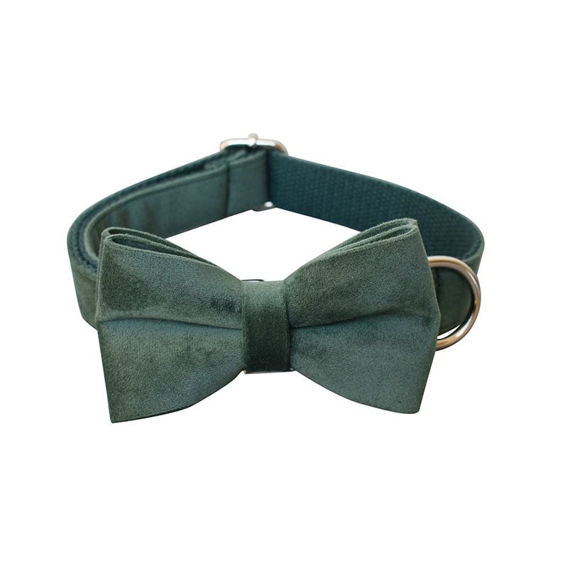 Hundehalsband CLEO GREEN Premium Velvet Hundeleine + Halsband Halsband mit Fliege / XS