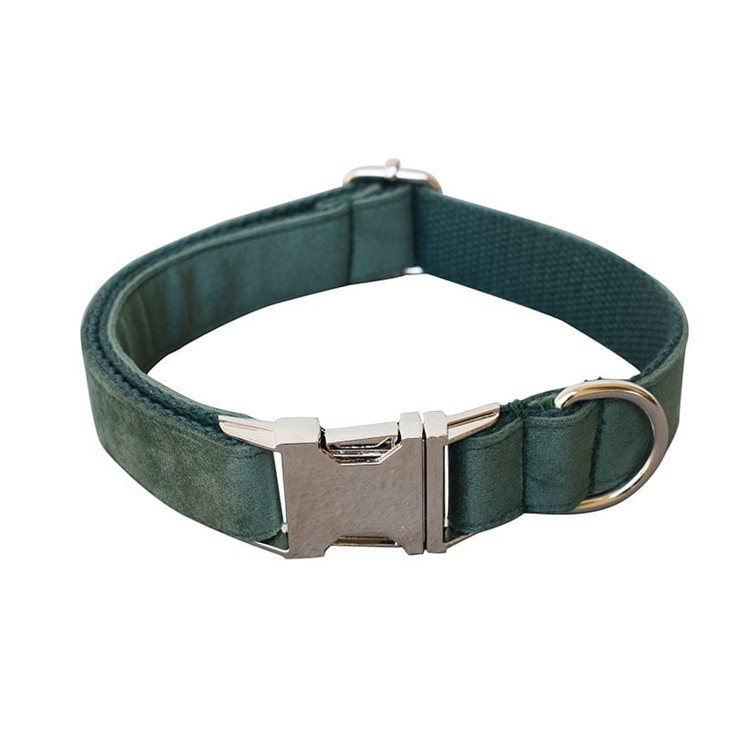 Hundehalsband CLEO GREEN Premium Velvet Hundeleine + Halsband Halsband / XS