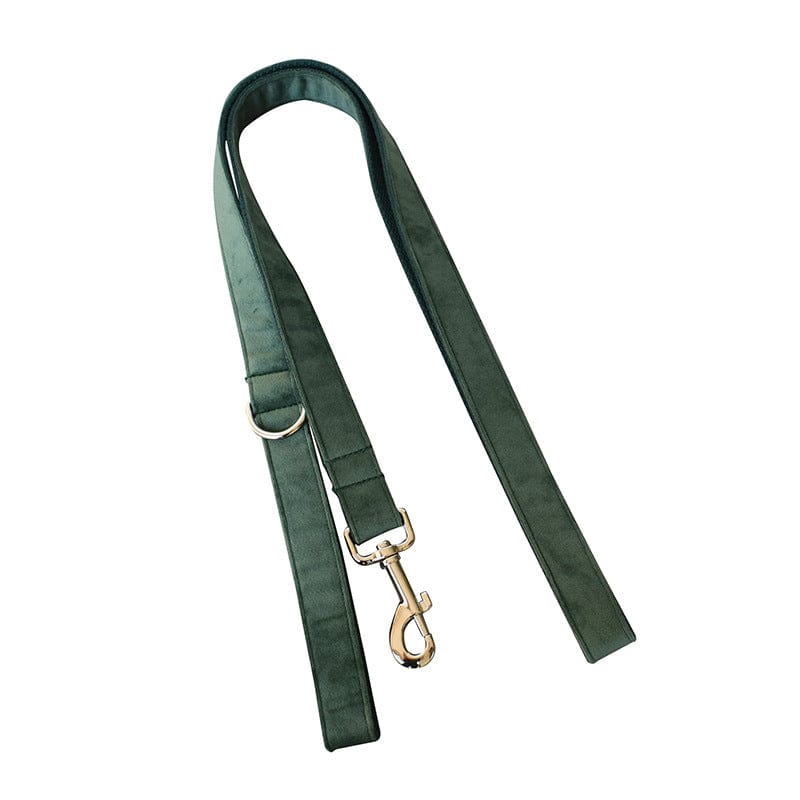 Hundehalsband CLEO GREEN Premium Velvet Hundeleine + Halsband Leine / XS