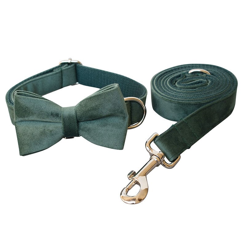 Hundehalsband CLEO GREEN Premium Velvet Hundeleine + Halsband Set B / XS