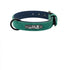 Hundehalsband RICO Personalisiertes Leder Hundehalsband + Leine Green / S