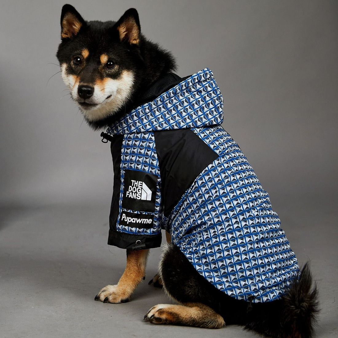 Hundejacke BASS MULTI Wind- und Regenfester Hundemantel Capri Blue / S