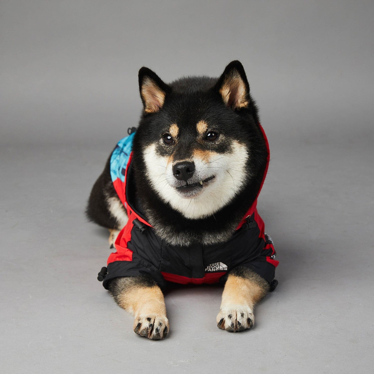 Hundejacke BASS NewYork Wind- und Regenfeste Hundejacke